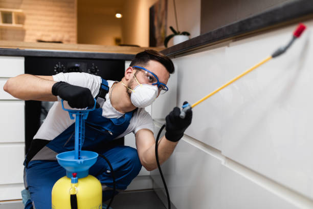Best Best Pest Control Companies  in Buckhall, VA