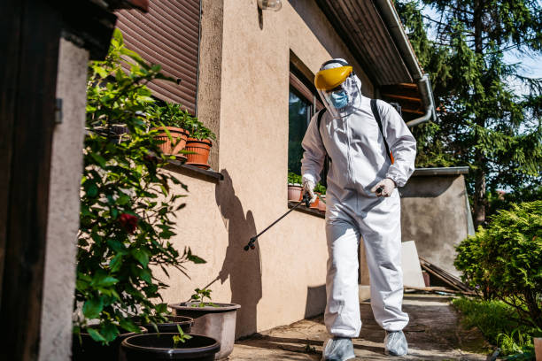 Best Rodent Control Near Me  in Buckhall, VA
