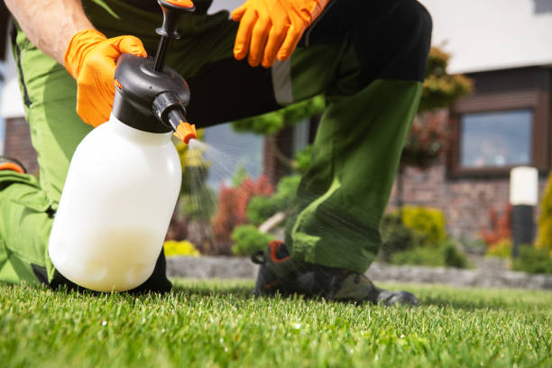 Insect Control in Buckhall, VA
