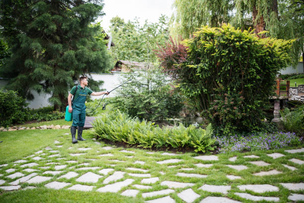 Best Pest Prevention Services  in Buckhall, VA
