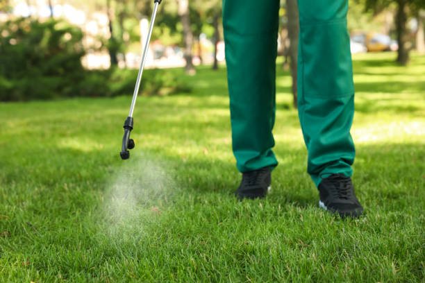 Best Residential Pest Control  in Buckhall, VA