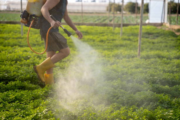 Best Pest Control for Restaurants  in Buckhall, VA