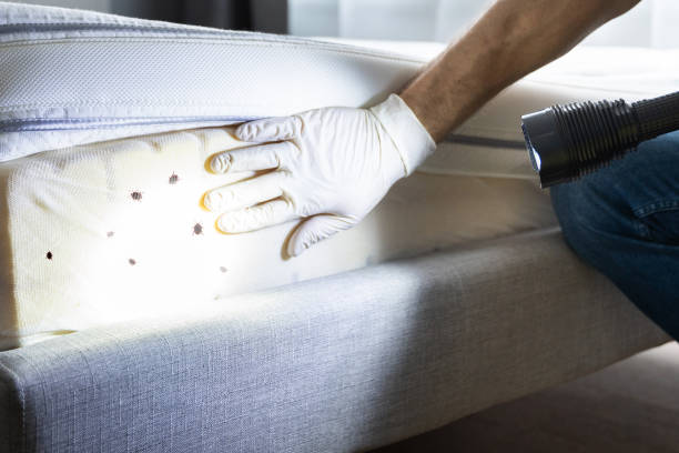 Best Wildlife Control Services  in Buckhall, VA