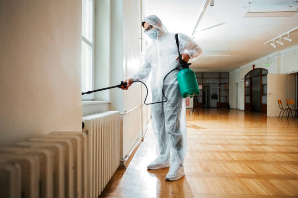 Best Rat Extermination Near Me  in Buckhall, VA